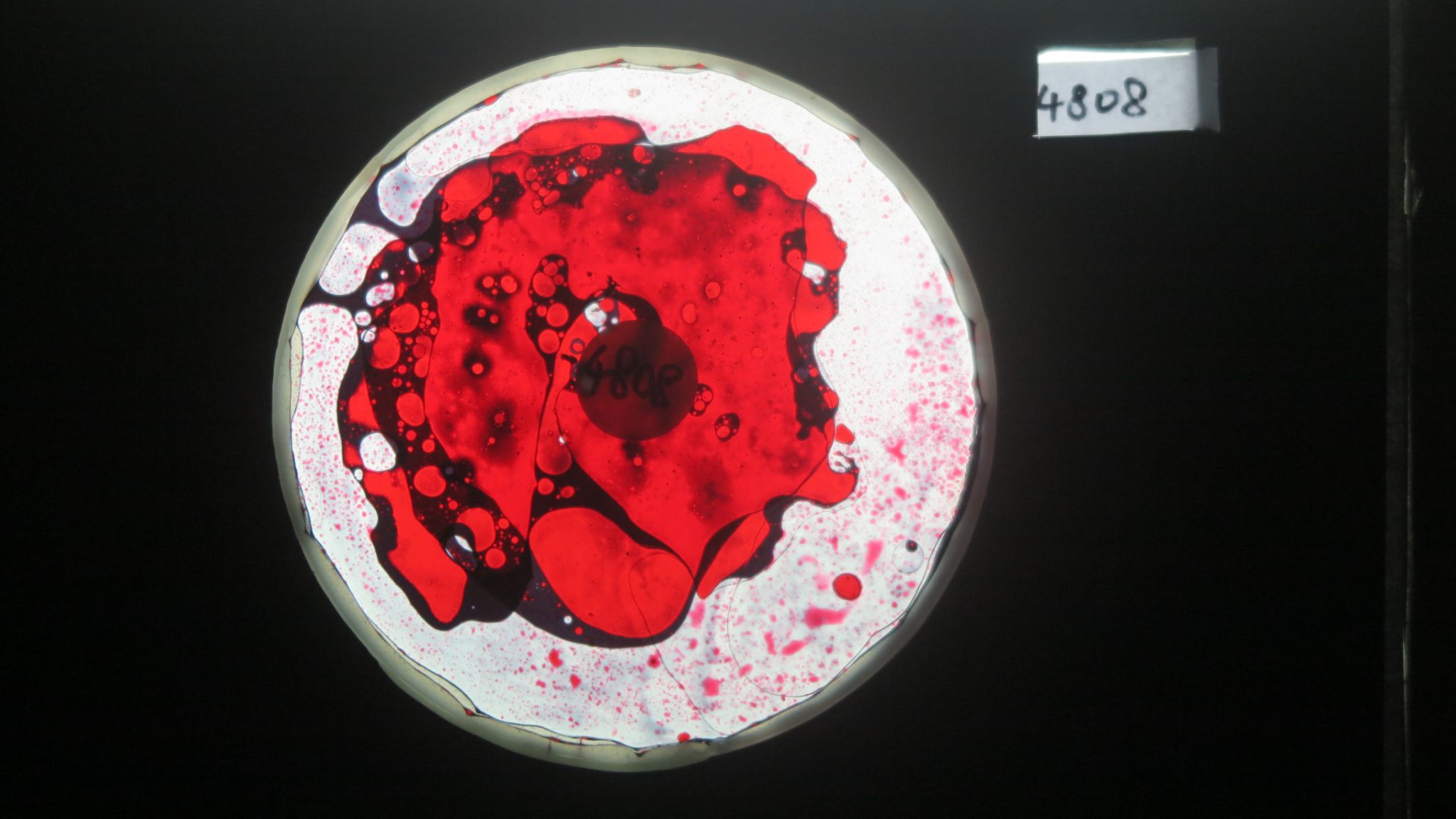 BV4808 bubble vision oil wheel